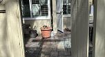 3444 LANGFORD AVENUE, Vancouver BC V5S 4B7
