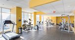 608 1199 SEYMOUR STREET, Vancouver BC V6B 1K3