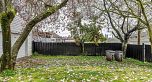 3242 Venables Street