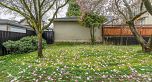 3242 Venables Street