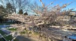 2128 ETON STREET, Vancouver BC V5L 1C7