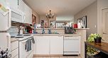 803 1177 HORNBY STREET, Vancouver BC V6Z 2E9