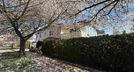 3488 HIGHBURY STREET, Vancouver BC V6S 2L4