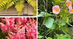 5038 ARBUTUS STREET, Vancouver BC V6M 3W2