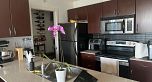 1802 938 SMITHE STREET, Vancouver BC V6Z 3H8