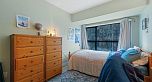 404 238 ALVIN NAROD MEWS, Vancouver BC V6B 5Z3