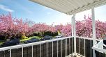 6499 ST. CATHERINES STREET, Vancouver BC V5W 3G9