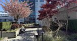 304 388 W 1ST AVENUE, Vancouver BC V5Y 0B2