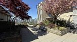 304 388 W 1ST AVENUE, Vancouver BC V5Y 0B2
