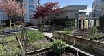 304 388 W 1ST AVENUE, Vancouver BC V5Y 0B2