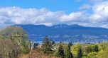 3635 W 14TH AVENUE, Vancouver BC V6R 2W6