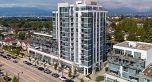 408 2435 KINGSWAY, Vancouver BC V5R 5G8