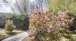 3770 Cedar Crescent