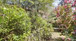 3770 Cedar Crescent