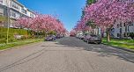 203 8775 CARTIER STREET, Vancouver BC V6P 4V3