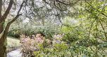 3770 Cedar Crescent