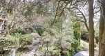 3770 Cedar Crescent