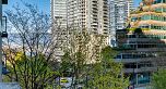 601 1328 W PENDER STREET, Vancouver BC V6E 4T1