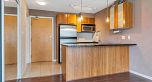903 1199 SEYMOUR STREET, Vancouver BC V6B 1K3