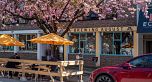 401 1635 W 3RD AVENUE, Vancouver BC V6J 0B6