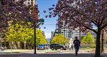 1019 EXPO BOULEVARD, Vancouver BC V6Z 2W1