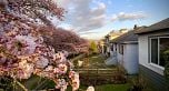 3114 GRAVELEY STREET, Vancouver BC V5K 3K6