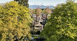 771 E 22ND AVENUE, Vancouver BC V5V 1V5