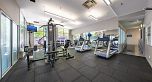 506 989 BEATTY STREET, Vancouver BC V6Z 3C2