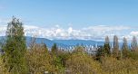 2410 SASAMAT STREET, Vancouver BC V6R 4S8