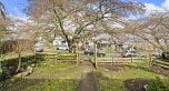 3114 GRAVELEY STREET, Vancouver BC V5K 3K6