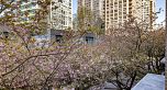 1019 EXPO BOULEVARD, Vancouver BC V6Z 2W1