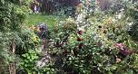 104 E 24 AVENUE, Vancouver BC V5V 1Z4