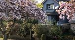494 E 18TH AVENUE, Vancouver BC V5V 1G1