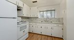 104 E 24 AVENUE, Vancouver BC V5V 1Z4