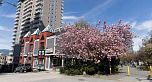 401 1050 BROUGHTON STREET, Vancouver BC V6G 2A6