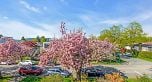 494 E 18TH AVENUE, Vancouver BC V5V 1G1