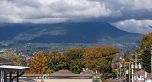 205 2419 GRANT STREET, Vancouver BC V0V 0V0