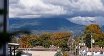 205 2419 GRANT STREET, Vancouver BC V0V 0V0