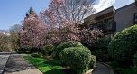 301 2416 W 3RD AVENUE, Vancouver BC V6K 1L8