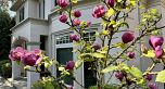 7165 MAPLE STREET, Vancouver BC V6P 5P5