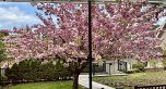 7165 MAPLE STREET, Vancouver BC V6P 5P5