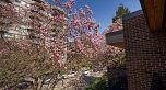 301 2416 W 3RD AVENUE, Vancouver BC V6K 1L8