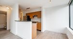 1608 1295 RICHARDS STREET, Vancouver BC V6B 1B7