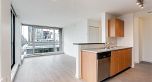 1608 1295 RICHARDS STREET, Vancouver BC V6B 1B7