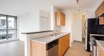 1608 1295 RICHARDS STREET, Vancouver BC V6B 1B7