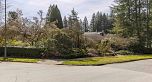 1812 Tasmania Crescent