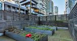 201 1308 HORNBY STREET, Vancouver BC V6Z 0C5