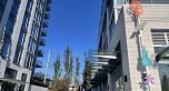 404 2455 KINGSWAY, Vancouver BC V5R 5G8