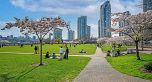 13B 199 DRAKE STREET, Vancouver BC V6Z 2T9