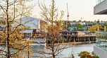 302 1600 HORNBY STREET, Vancouver BC V6Z 2S4